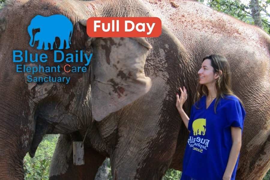 Blue Daily Elephant Care Sancuary Full Day