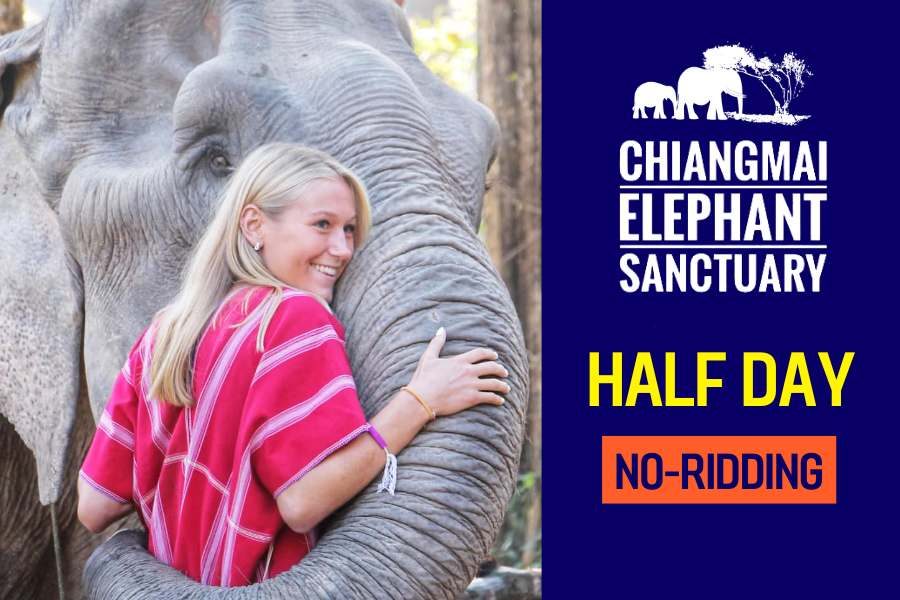 chiang mai elephant sanctuary half day tour by voyon.co