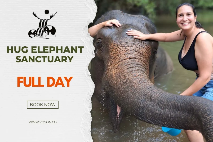 Hug Elephant Sanctuary Full Day