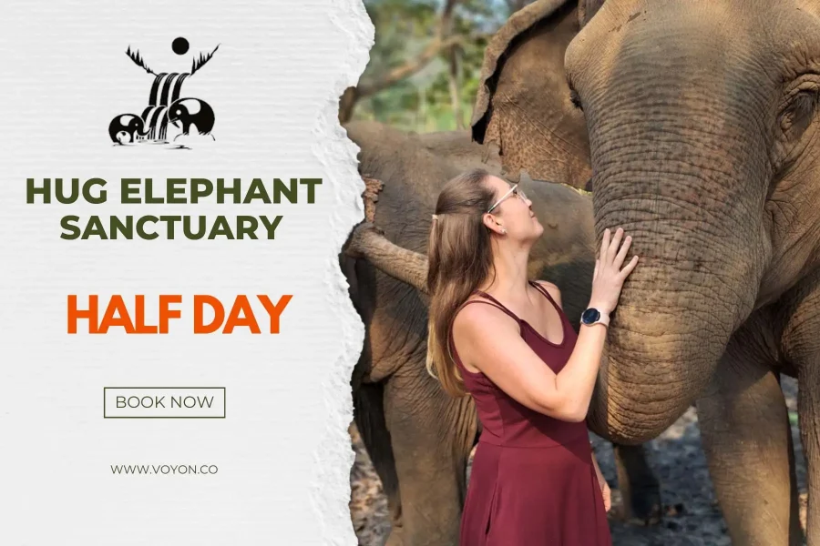 Hug Elephant Sanctuary Half Day