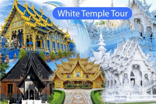 Chiang Rai White Temple Tour White Temple Blue Tmple and Black House Museum by Voyon Tour