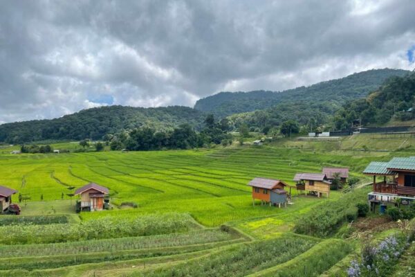 1 Day Doi Inthanon National Park and Kew Mae Phan Trekking Trail - Image 6