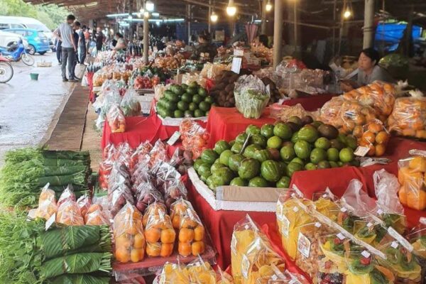 1 Day Doi Inthanon National Park and Kew Mae Phan Trekking Trail - Image 9