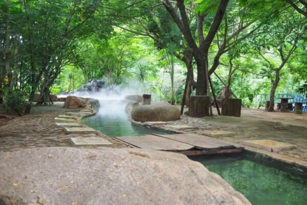 chiang rai white temple hot spring day tour from chiang mai by voyon.co