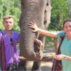 interacting with elephants, 1 day chiang mai elephant tour by voyon