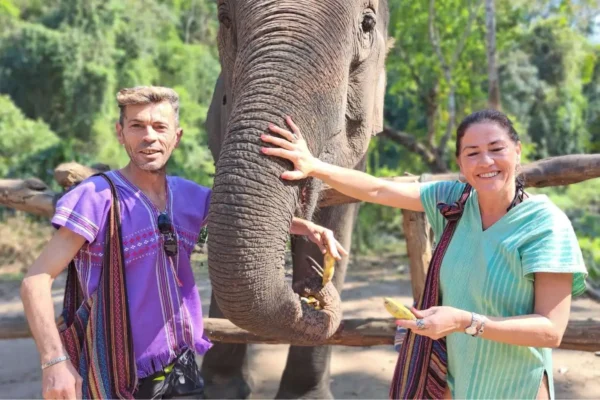 interacting with elephants, 1 day chiang mai elephant tour by voyon