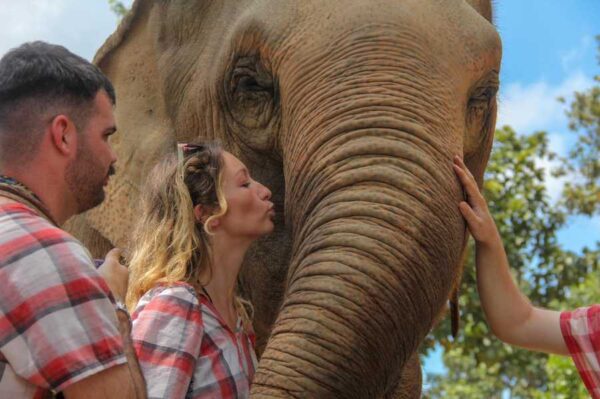 interacting with elephants, 1 day chiang mai elephant tour by voyon