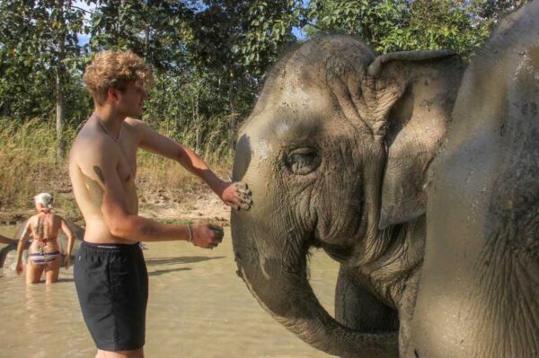 doing the elephant mud spa - voyon